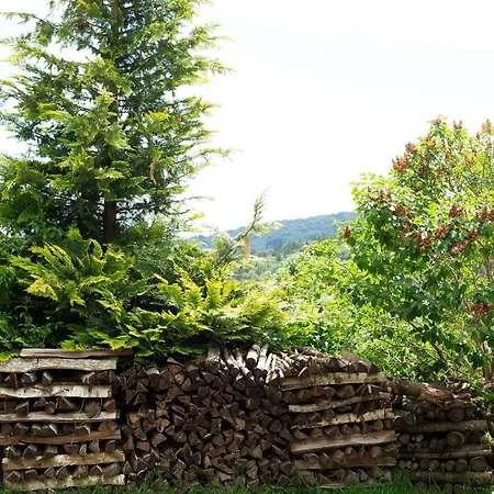 Tinyhaus 1 Schöllnach