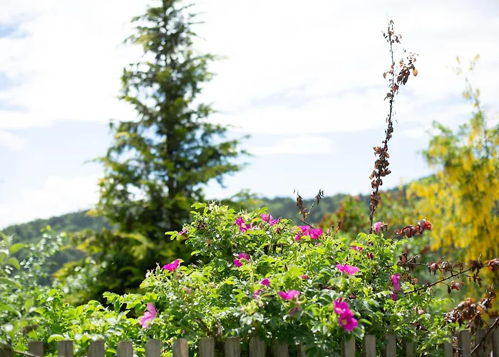 Tinyhaus 1 * Schöllnach