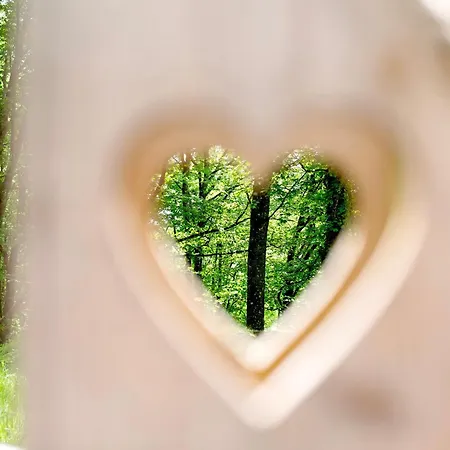 Tinyhaus 1 Nyaraló Schöllnach