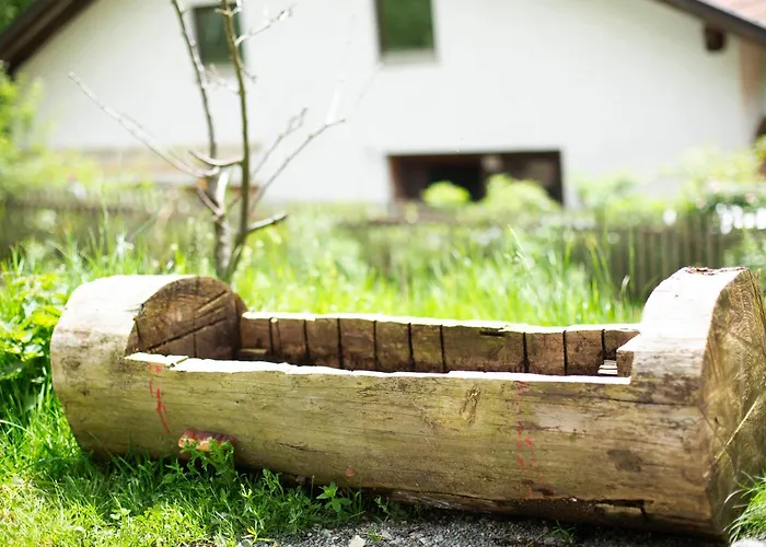 Nyaraló Tinyhaus 1 Schöllnach