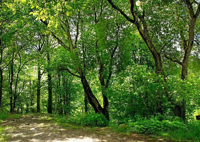 Tinyhaus 1 Nyaraló *